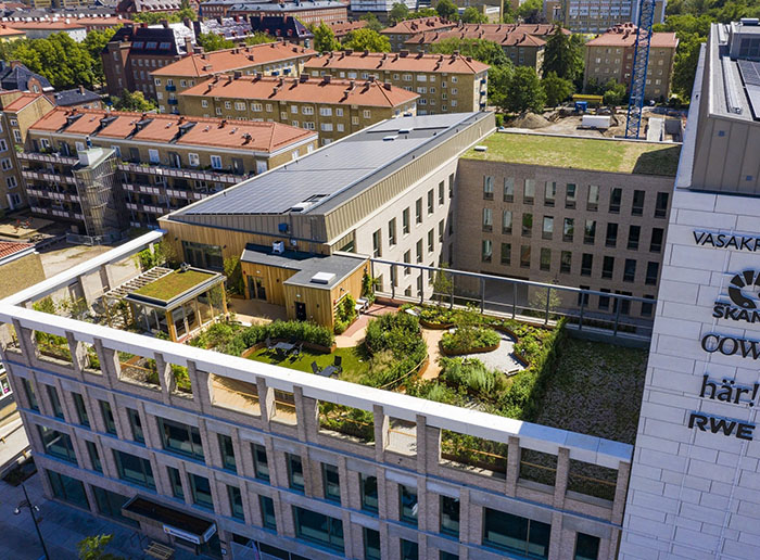 Gröna utemiljöer. Bild: Vasakronan